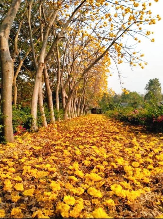 Denchai City Resort เด่นชัยซิตี้ รีสอร์ท Phre Kültér fotó