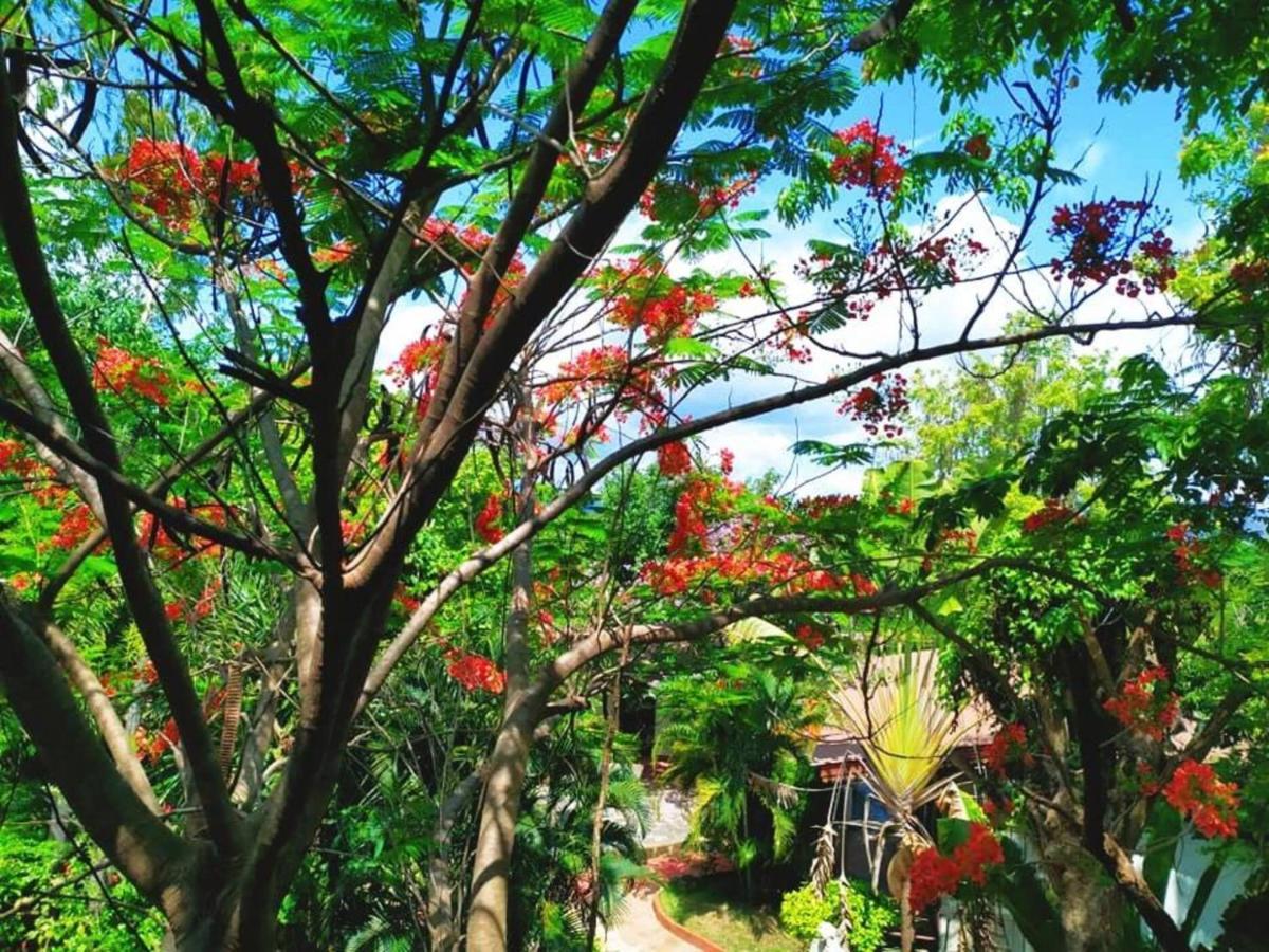 Denchai City Resort เด่นชัยซิตี้ รีสอร์ท Phre Kültér fotó